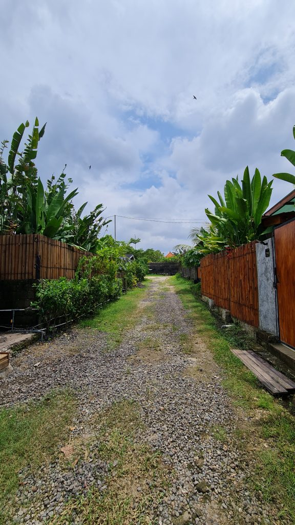 20241231 120644 20241231 120644